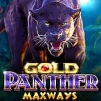 Gold Panther Maxways