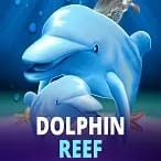 Dolphin Reef game thumbnail